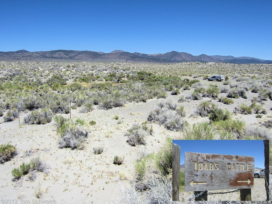 California, Mono County, Sulphur Pond