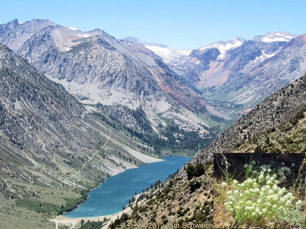 California, Mono County, Lundy Canyon