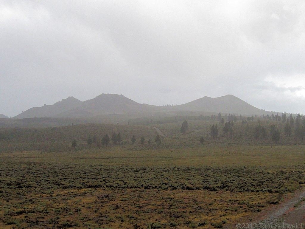 California, Mono County, Sagehen Meadow