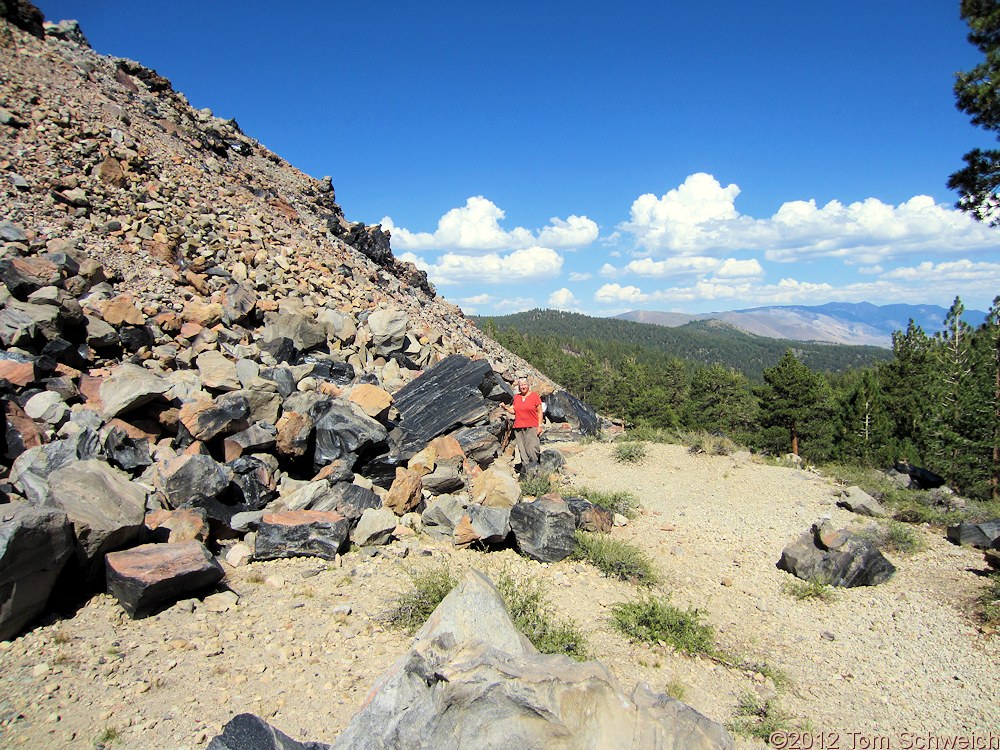 California, Mono County, Obsidian Dome
