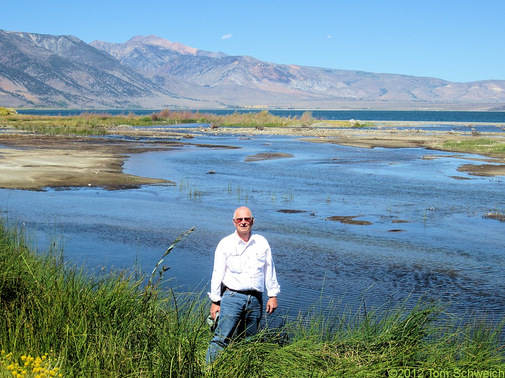 California, Mono County, California, Mono County, Rush Creek delta