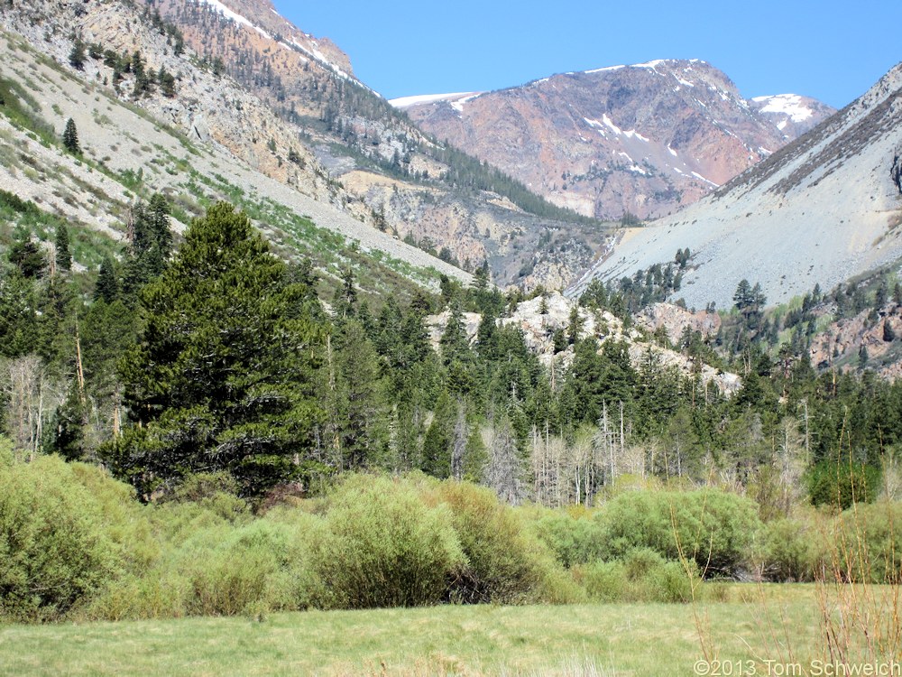 California, Mono County, Lee Vining Canyon