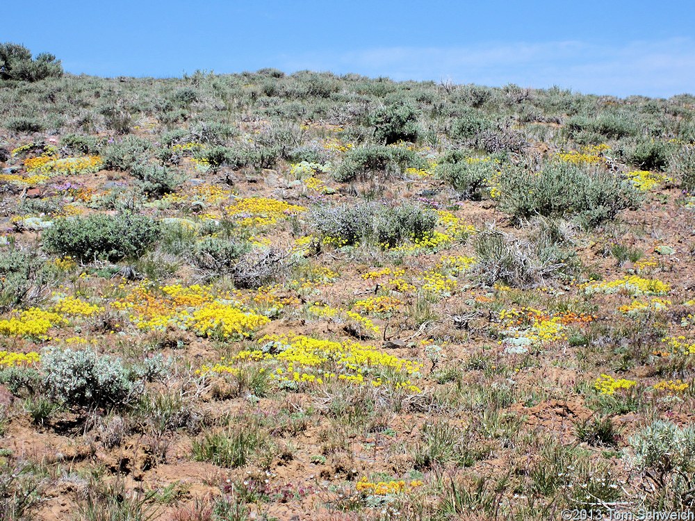 California, Mono County, Bridgeport Canyon