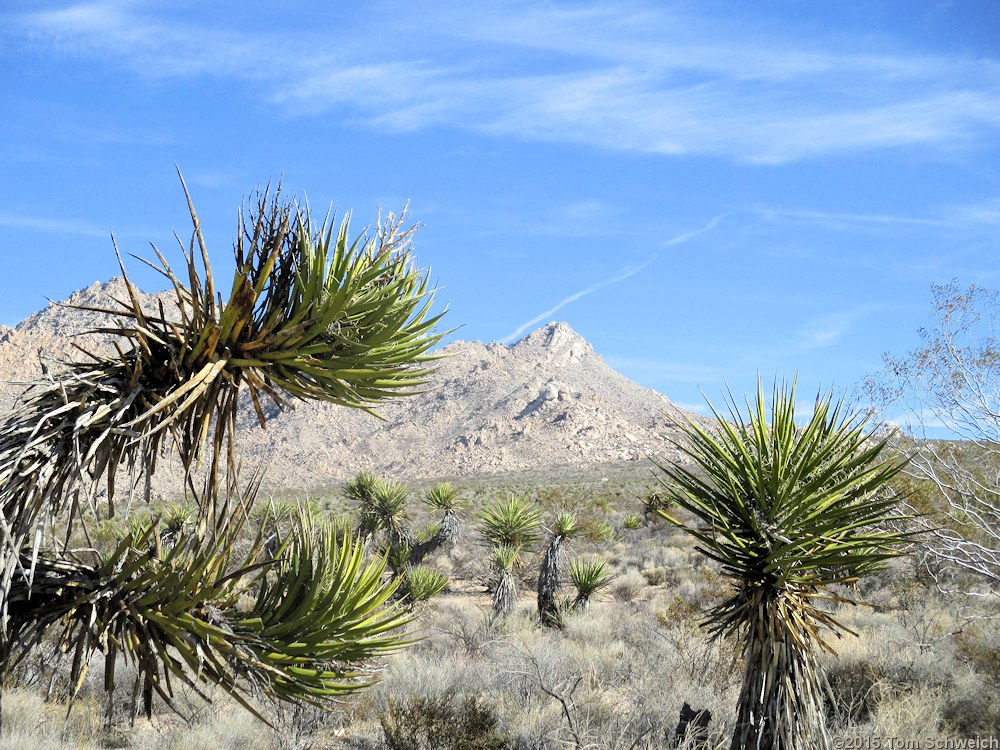 California, San Bernardino County, Kelbaker Road