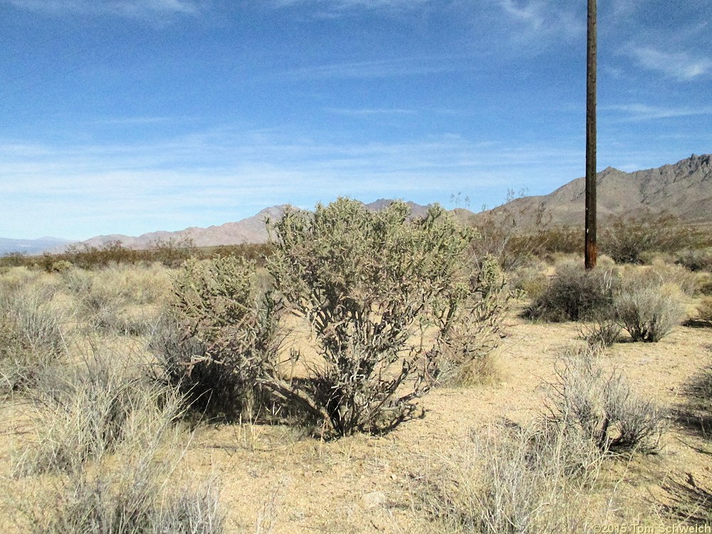 California, San Bernardino County, Kelbaker Road