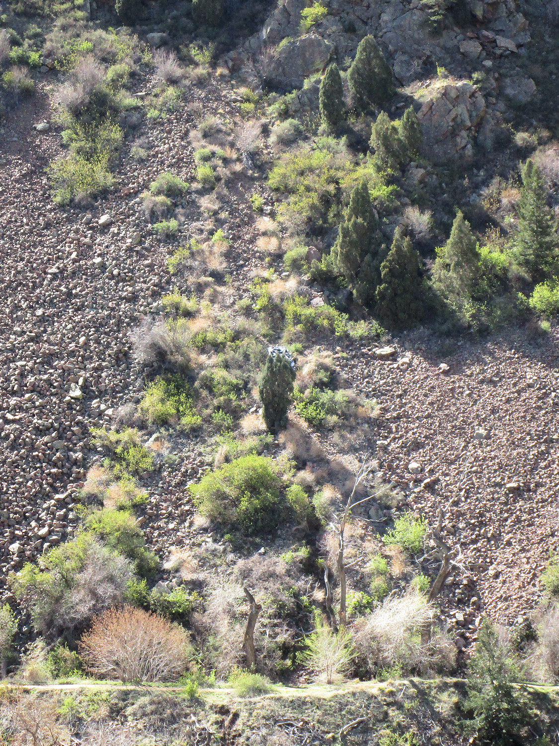 Colorado, Jefferson County, Clear Creek Canyon