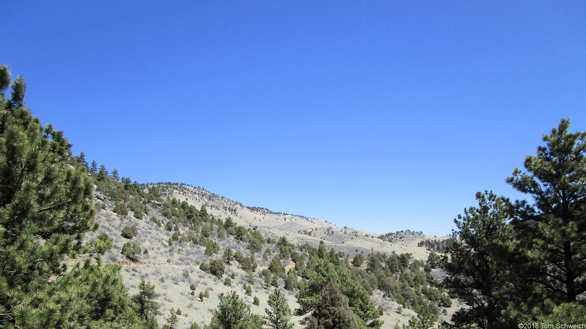 Colorado, Jefferson County, Centennial Cone Park