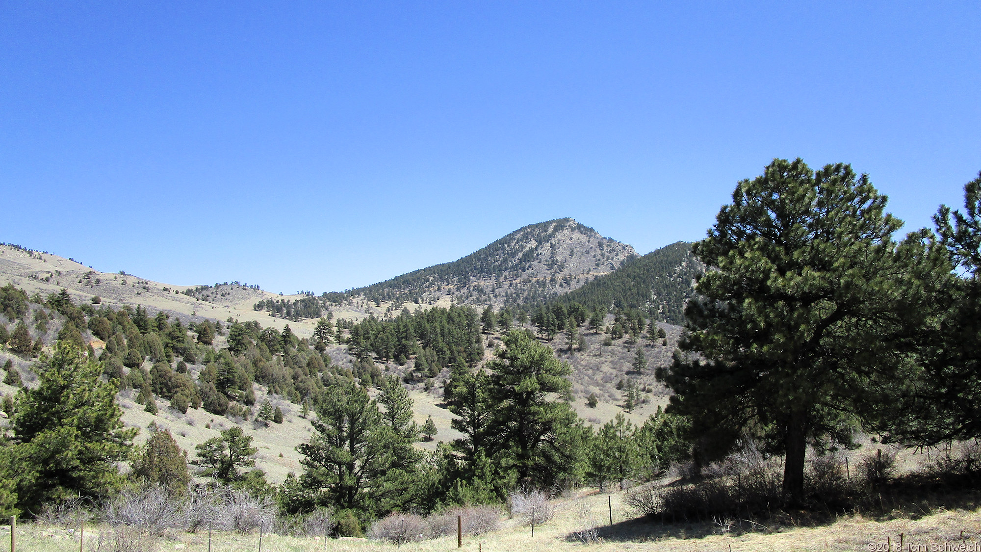 Colorado, Jefferson County, Centennial Cone Park