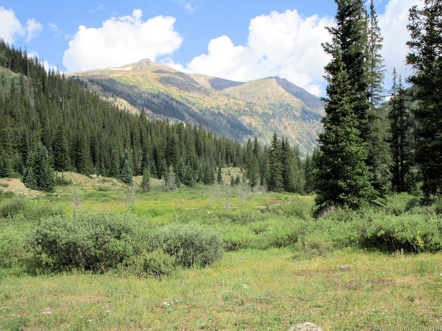 Colorado, Brumley