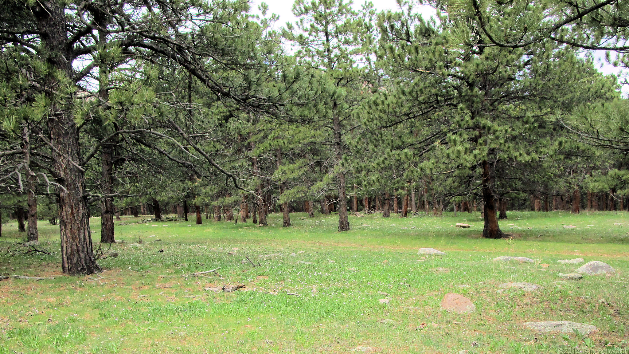 Colorado, Jefferson County, Lippincott Property