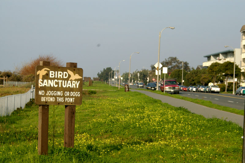 Shoreline Drive at Elsie Roemer Marsh.