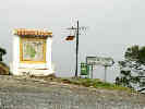 Full Size Image