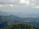 Full Size Image