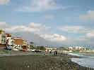 Full Size Image