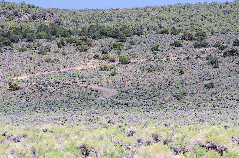Nevada, Mineral County, Alkali Valley