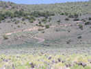 Full Size Image