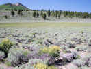 Full Size Image