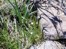 Full Size Image