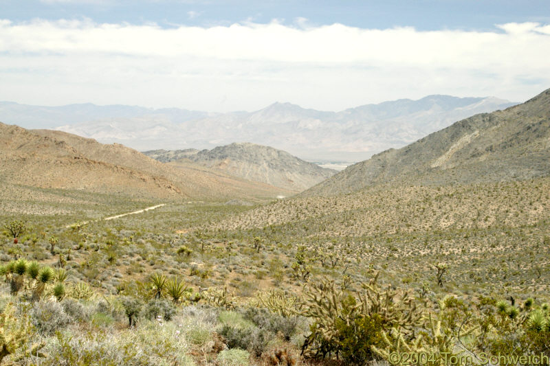 Looking east into Nevada from Winters Pass