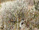 Full Size Image
