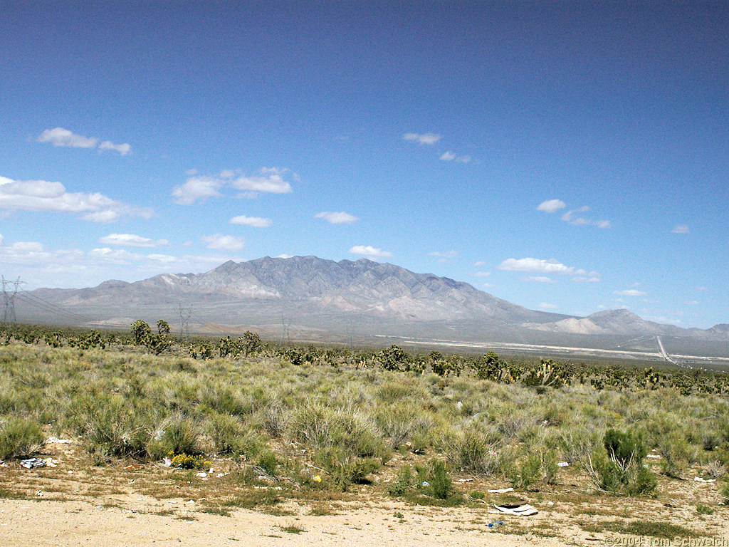 Clark Mountain, California, from Halloran Summit.