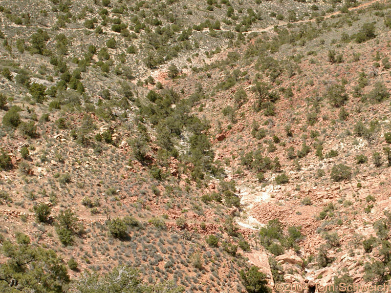 Aztec Tank, type locality of Aztec Sandstone