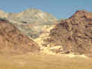 Full Size Image