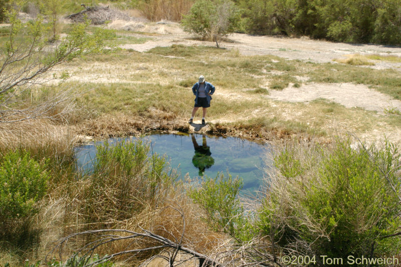 Point of Rocks Spring