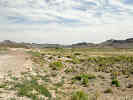 Full Size Image