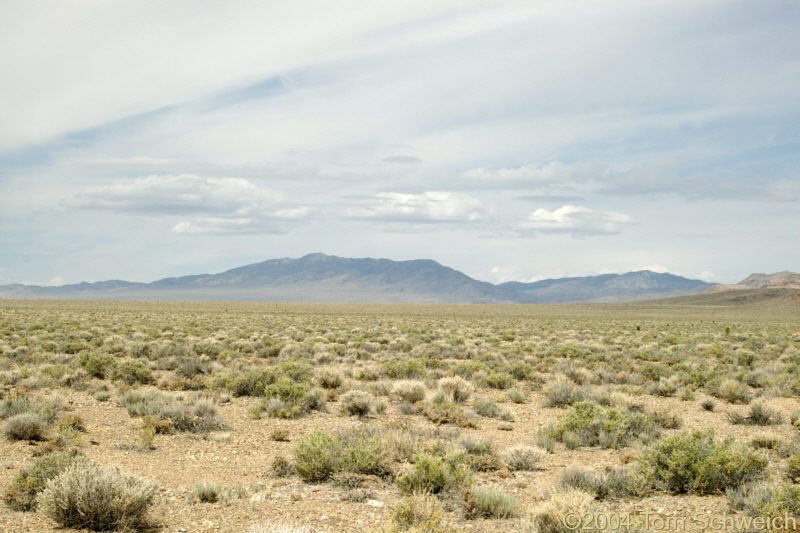 Magruder Mountain from the east.
