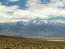 Full Size Image
