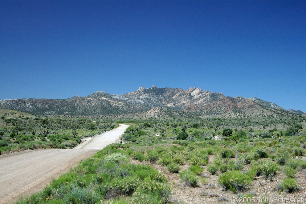 New York Mountains, Mojave National Preserve, San Bernardino County, California