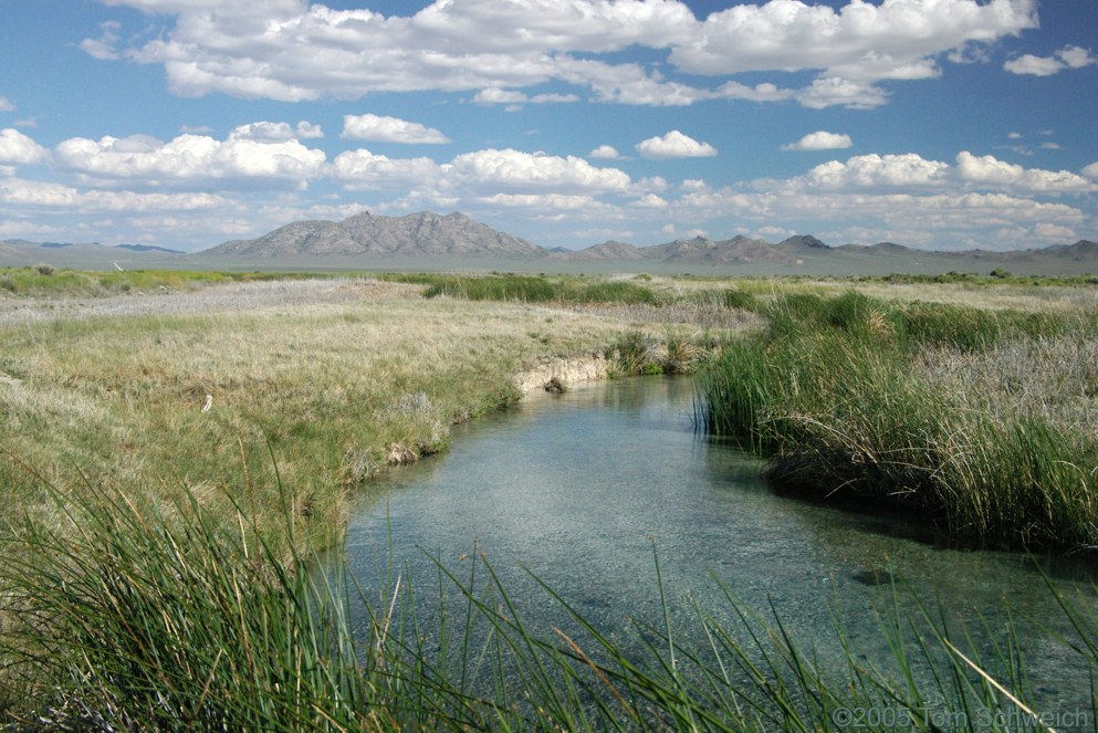 Hot Creek Springs, Nye County, Nevada