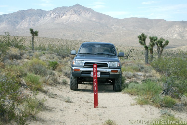 Robbers Roost, Kern County, California