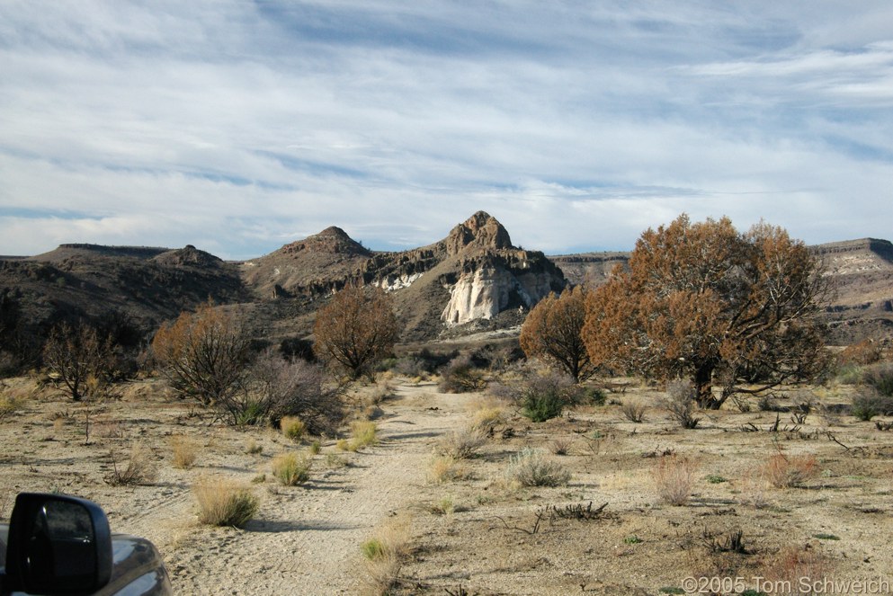 Hackberry Complex Fire, Lobo Point, Mojave National Preserve, San Bernardino, California