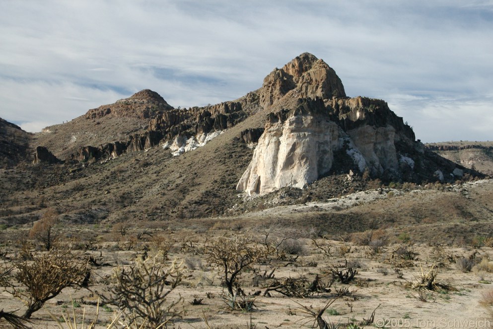 Hackberry Complex Fire, Lobo Point, Mojave National Preserve, San Bernardino, California