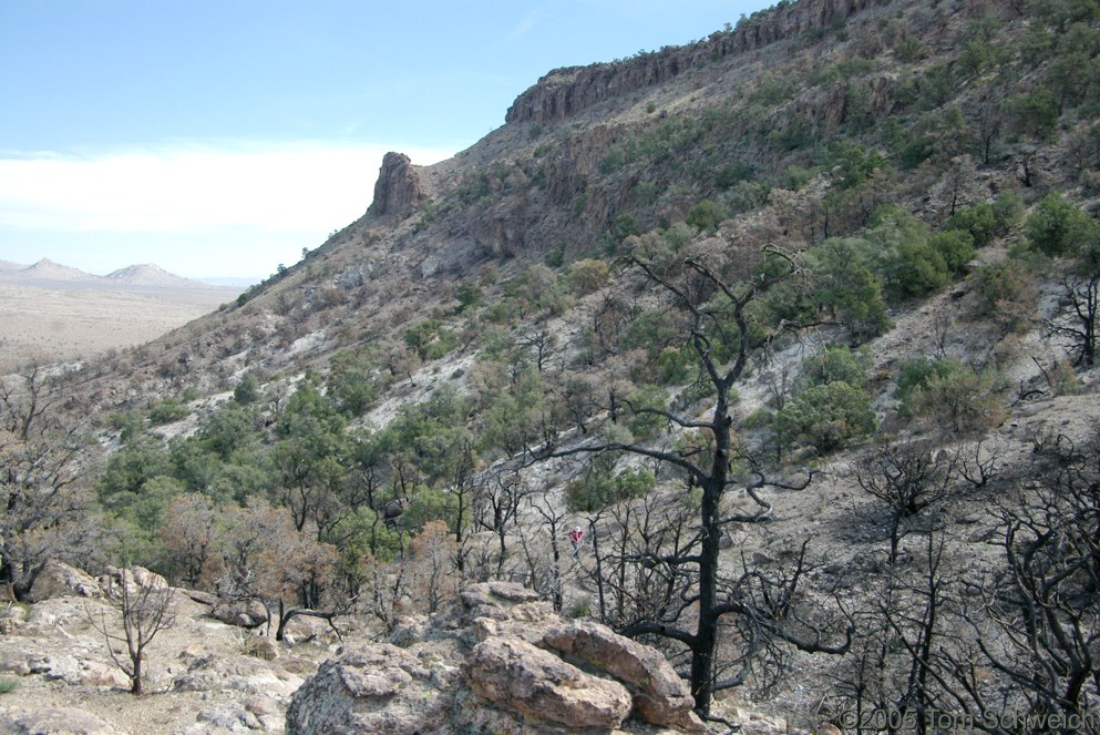 Wild Horse Mesa, Hackberry Complex Fire, Mojave National Preserve, San Bernardino County, California