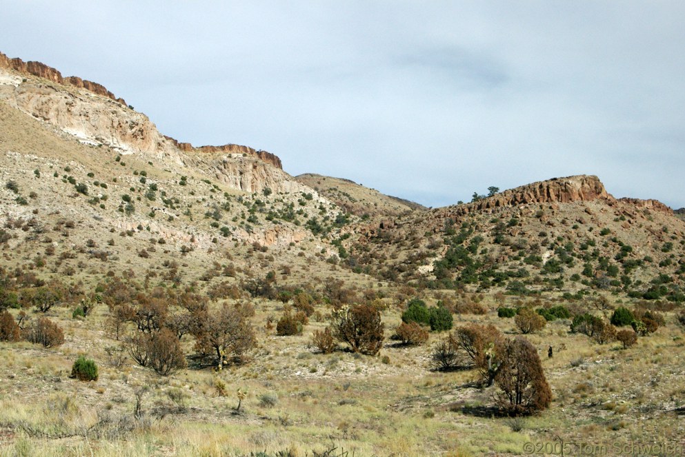 Hackberry Complex Fire, Pinto Mountain, Mojave National Preserve, San Bernardino County, California