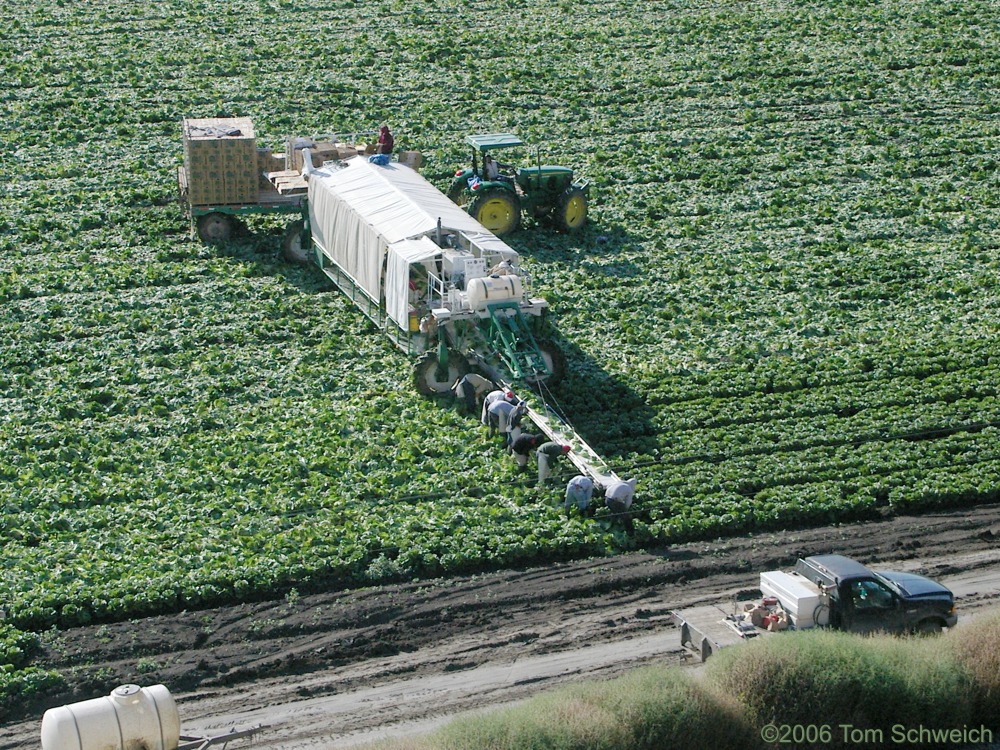 Salinas Valley, Monterey County, California