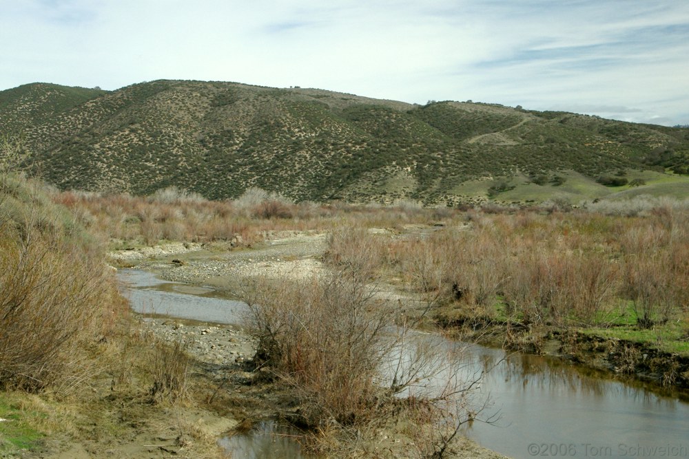 San Lorenzo Creek, San Benito County, California