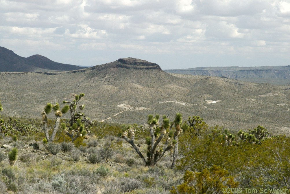 Solomons Knob, San Bernardino County, California