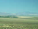 Full Size Image
