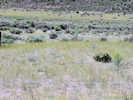 Full Size Image