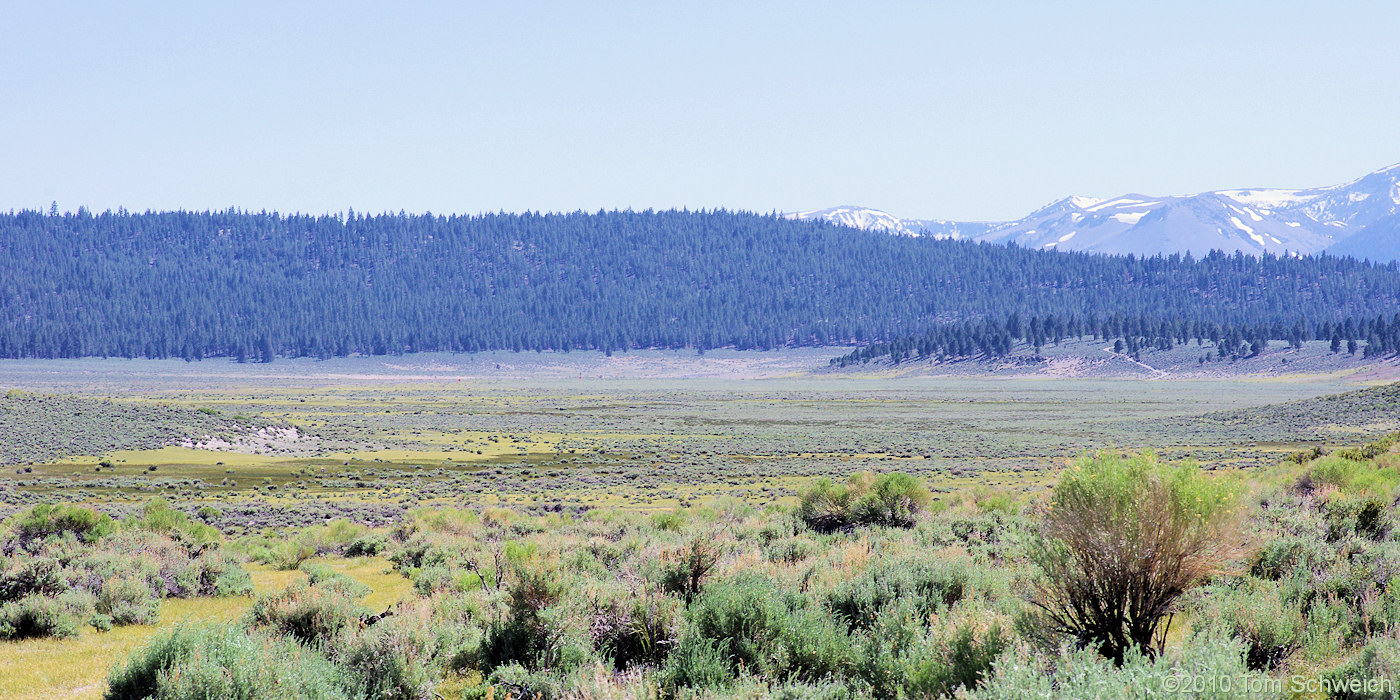 California, Mono County, Big Sand Flat