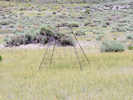 Full Size Image
