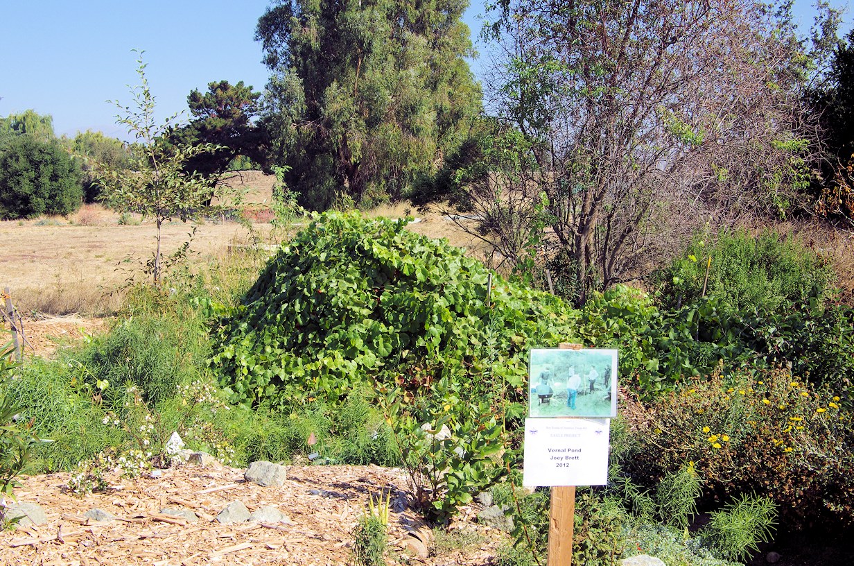 California, Santa Clara County, Ulistac Natural Area