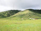 Full Size Image