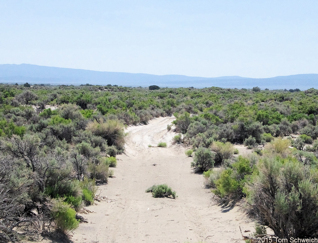California, Mono County, Mono Valley