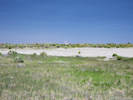 Full Size Image