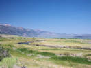 Full Size Image